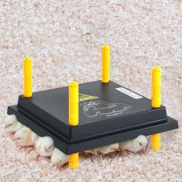 Gossi placa de incalzire pentru pui si ratuste, 25x25 cm