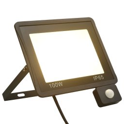 Gossi proiector led cu senzor, 100 w, alb cald