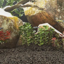 Gossi roci vulcanice, 10 kg, negru, 1-2 cm