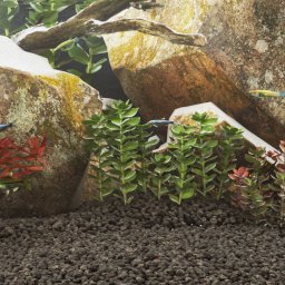 Gossi roci vulcanice, 10 kg, negru, 1-2 cm