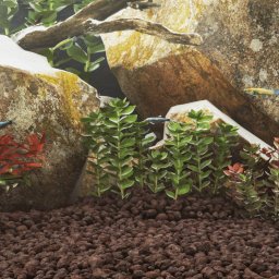 Gossi roci vulcanice, 10 kg, rosu, 5-8 cm