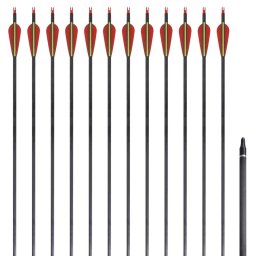 Sageti standard arc recurv 30" 0,76 cm carbon 12 buc.