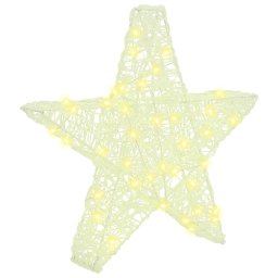 Stea 3D cu 50 LED Alb cald 55 x 53.5 x 10 cm Acril GartenMobel Dekor