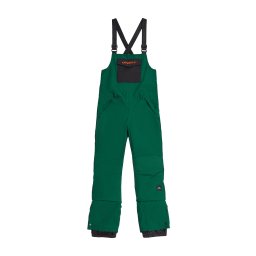 O'NEILL Pantaloni outdoor verde pin
