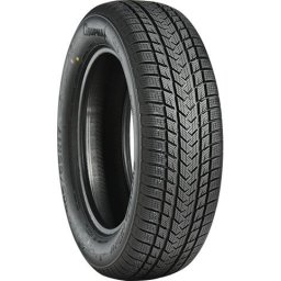 GRIPMAX 205/55 R17 SUREGRIP eWINTER XL 95V