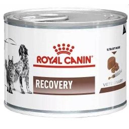 ROYAL CANIN Recovery 12 x 195 g hrană umedă pentru câini și pisici în convalescență