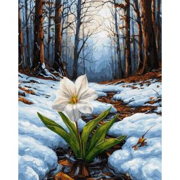 Set pictura pe numere, cu sasiu, Prima respiratie, 40x50 cm