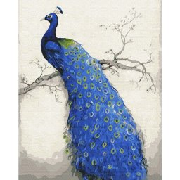 Set pictura pe numere, cu sasiu, Paun, 40x50 cm
