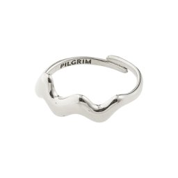 Pilgrim Inele 'Larkin' argintiu