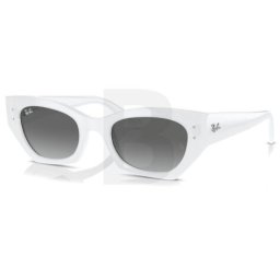 Ray-Ban Ray-Ban RB4430 675911 49 RB4430 675911 49