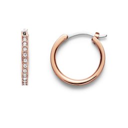 Fossil Cercei eleganți placați cu aur cercuri și zircon JOF00338791