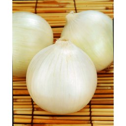 Seminte ceapa alba TONDA MUSONA (100 GRAME)