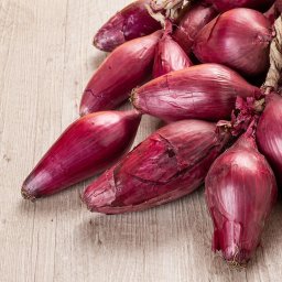 Seminte ceapa rosie TROPEA ROSSA LUNGA (100 GRAME)