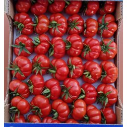 Seminte tomate MARMO F1 (100 sem)- 1+1 GRATUIT