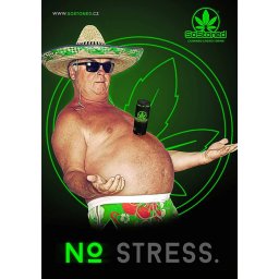 Euphoria Poster No stress