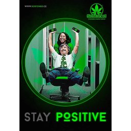Euphoria Poster Stay Positive