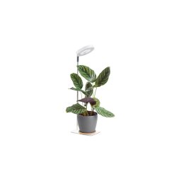 VERDI Lampă LED de creștere reglabilă pentru plante, 5W/5V, 1300K, albă