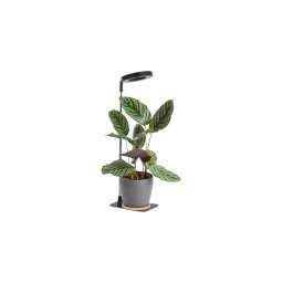 Lampă de birou LED reglabilă pentru cultivarea plantelor VERDI LED/5W/5V 1300K neagră