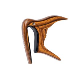 Ortega OCAPO-WND