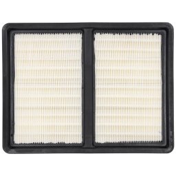 Filtru HEPA pentru DED6607