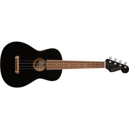 Fender Avalon Black
