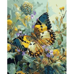 Set pictura pe numere, cu sasiu, Fluture Janetta Forester, 40x50 cm