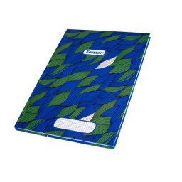 Registru A4 100 file - matematica