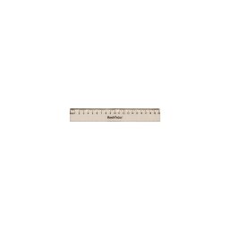 Rigla de plastic in etui 20cm