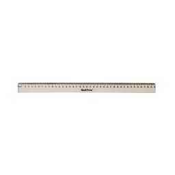 Rigla de plastic Memoris Precious in etui 40cm