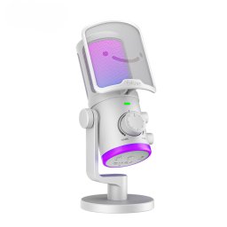 Microfon Microfon de studio cu condensator FIFINE AM6W cu ANULAREA ZGOMOTULUI RGB