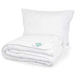 Set pilotă și pernă 4Home Aloe Premium, 140 x 200 cm, 70 x 90 cm