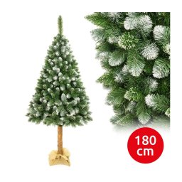 Pom de Crăciun pe trunchi 180 cm pin