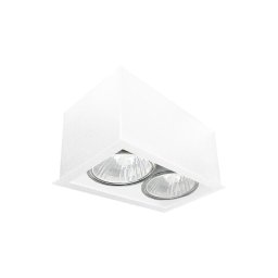 Brosline 1081 - Lampă spot CAGE 2xGU10/10W/230V, albă