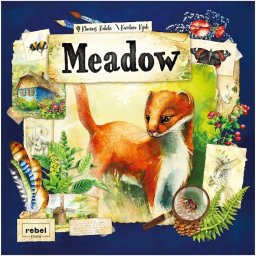 Joc de societate Meadow, limba romana, Multicolor
