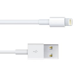 Cablu iPhone iPad 3 mini iPad iPod Touch 1m