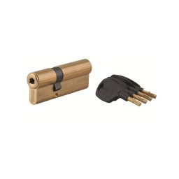 Cilindru usa cu dubla intrare Surveyor, 31x61mm, alama, anti-indepartare, 4 chei