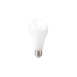 Bec LED GS E27, 22W, 230V, 6500K