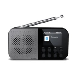 DR-P520OSAKA, DAB+, FM, Gri
