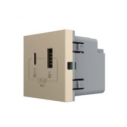 Modul Priza USB-A + USB-C LIVOLO â€“ Serie Noua