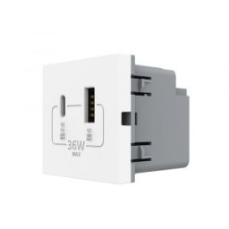 Modul Priza USB-A + USB-C LIVOLO â€“ Serie Noua