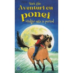 Aventuri cu ponei. Fulger este in pericol - Usch Luhn