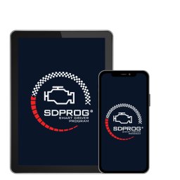 SDPROG software (OEM) diagnoza auto moto ATV