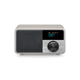 A500419, 2 W, DAB+, FM, Argintiu