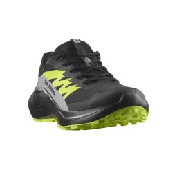 Pantofi Salomon Alphaglide GTX, impermeabili, gore-tex, culoare negru cu verde