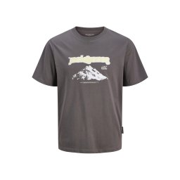 JACK & JONES Tricou 'JCOFLARE' galben deschis / gri închis / alb