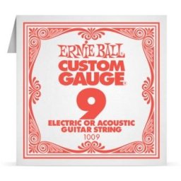 Ernie Ball Custom Gauge 009 1009