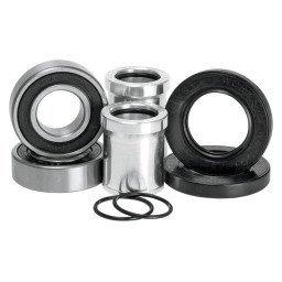 Kit rulmenti+semeringuri roata spate Pivot Works