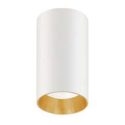 Spot, Aluminiu, GU10, 55 x 97 mm, Alb/Auriu