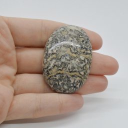Cabochon Jasp Leopard 2 46x32x7mm C25