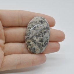 Cabochon Jasp Leopard 2 42x26x8mm C27